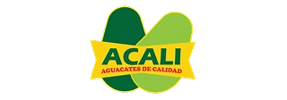 Cliente 3